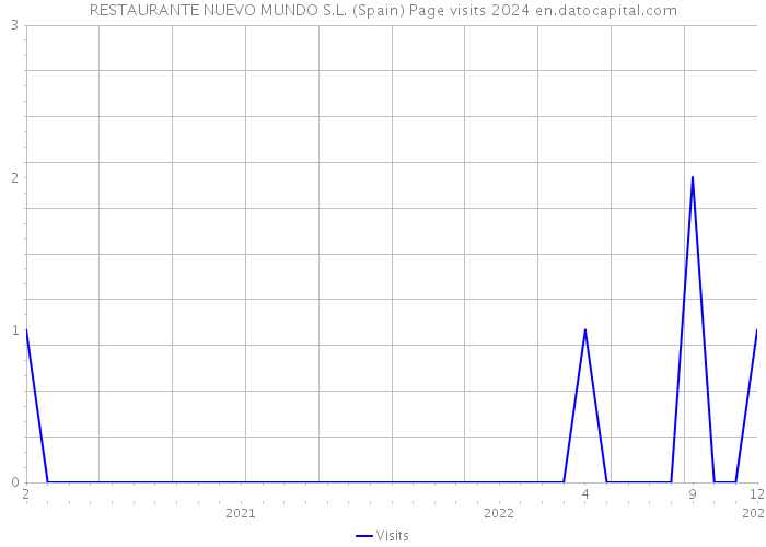 RESTAURANTE NUEVO MUNDO S.L. (Spain) Page visits 2024 