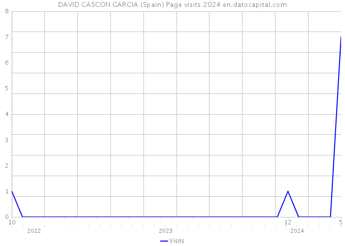 DAVID CASCON GARCIA (Spain) Page visits 2024 
