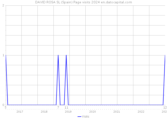 DAVID ROSA SL (Spain) Page visits 2024 