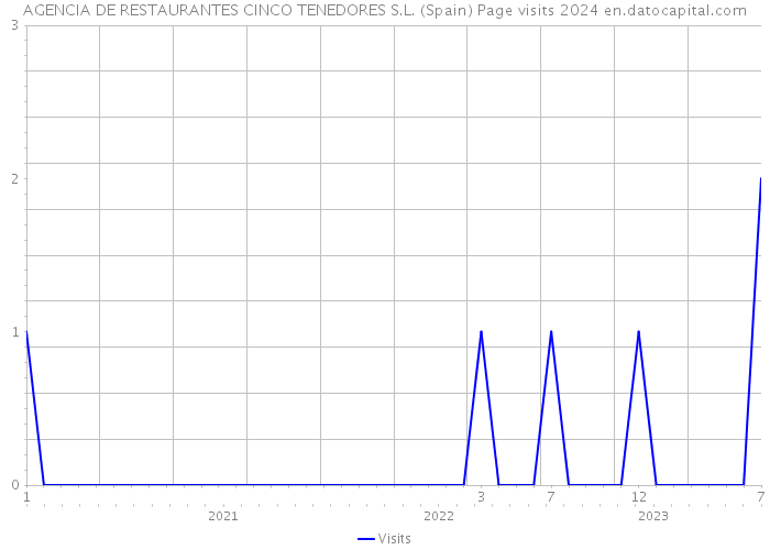 AGENCIA DE RESTAURANTES CINCO TENEDORES S.L. (Spain) Page visits 2024 