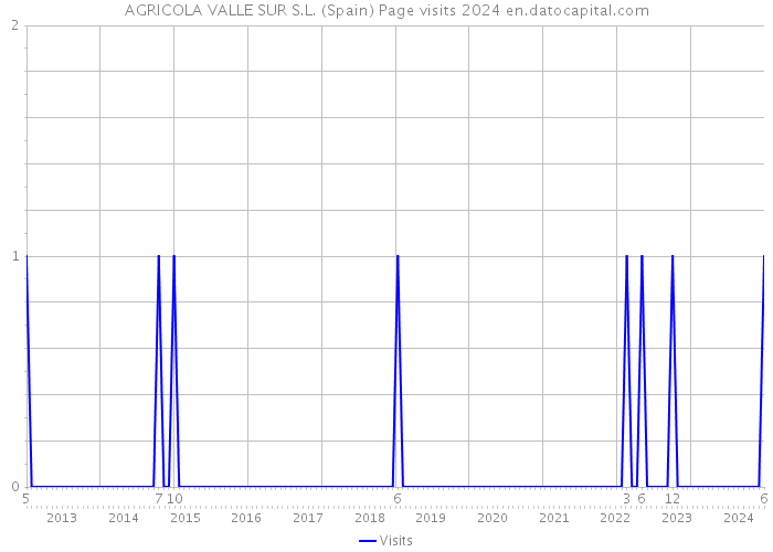 AGRICOLA VALLE SUR S.L. (Spain) Page visits 2024 