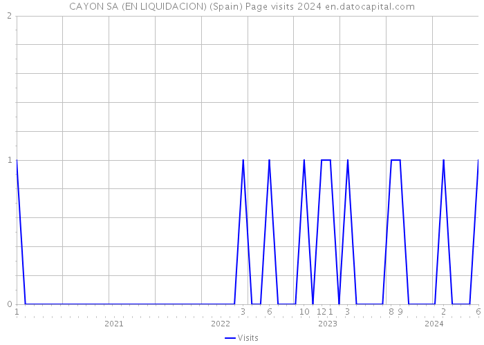 CAYON SA (EN LIQUIDACION) (Spain) Page visits 2024 
