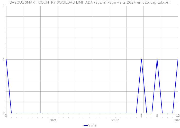 BASQUE SMART COUNTRY SOCIEDAD LIMITADA (Spain) Page visits 2024 