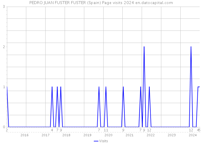 PEDRO JUAN FUSTER FUSTER (Spain) Page visits 2024 