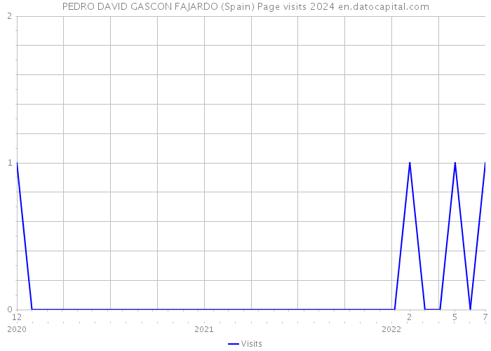 PEDRO DAVID GASCON FAJARDO (Spain) Page visits 2024 