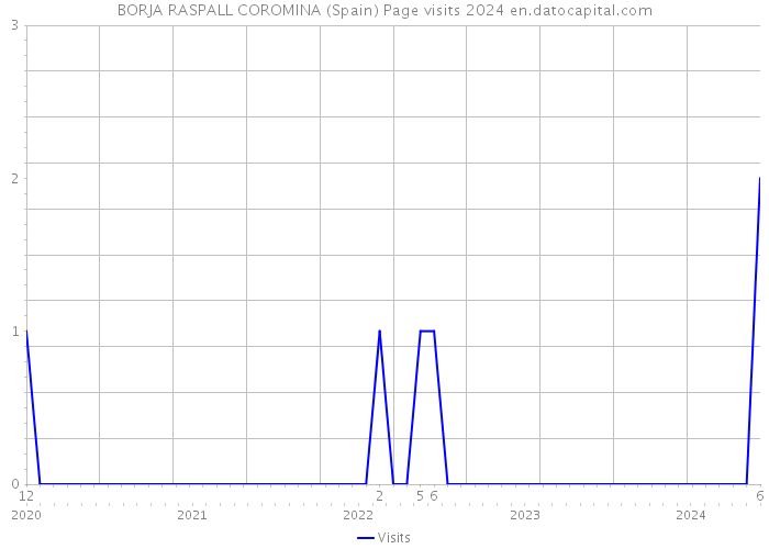 BORJA RASPALL COROMINA (Spain) Page visits 2024 
