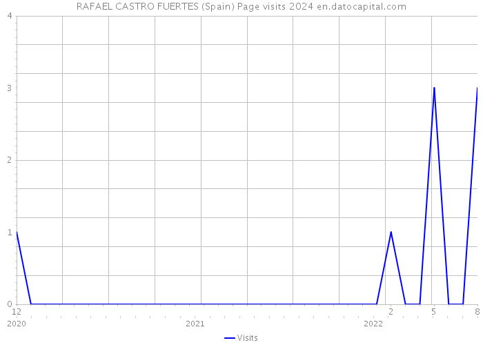 RAFAEL CASTRO FUERTES (Spain) Page visits 2024 