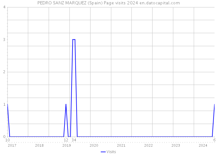 PEDRO SANZ MARQUEZ (Spain) Page visits 2024 