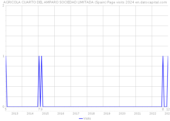 AGRICOLA CUARTO DEL AMPARO SOCIEDAD LIMITADA (Spain) Page visits 2024 