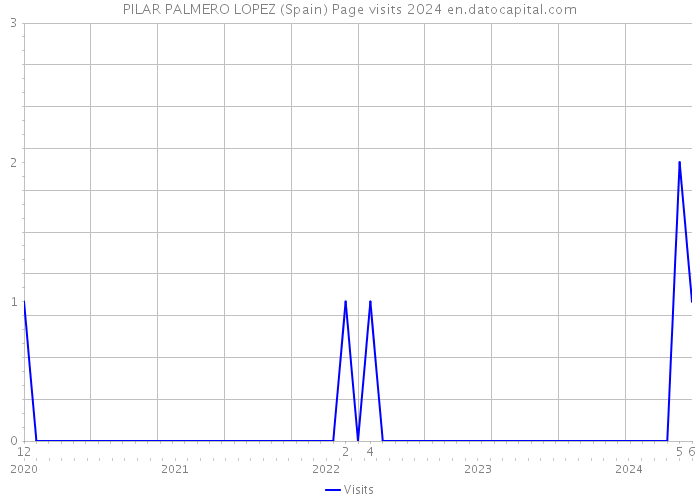 PILAR PALMERO LOPEZ (Spain) Page visits 2024 