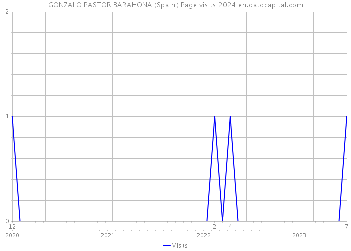 GONZALO PASTOR BARAHONA (Spain) Page visits 2024 