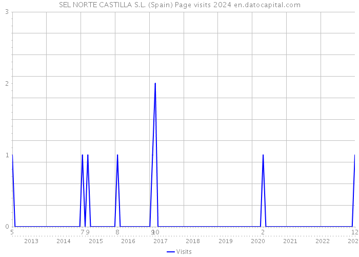 SEL NORTE CASTILLA S.L. (Spain) Page visits 2024 
