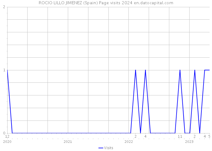 ROCIO LILLO JIMENEZ (Spain) Page visits 2024 