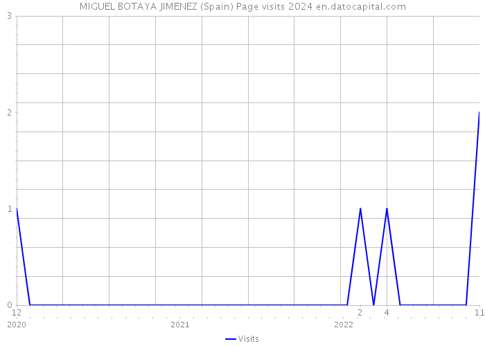MIGUEL BOTAYA JIMENEZ (Spain) Page visits 2024 