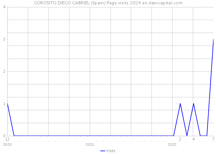GOROSITO DIEGO GABRIEL (Spain) Page visits 2024 
