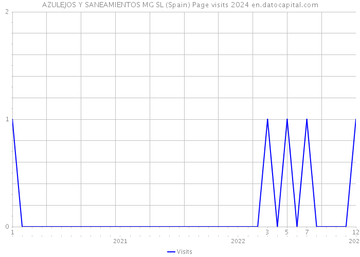 AZULEJOS Y SANEAMIENTOS MG SL (Spain) Page visits 2024 