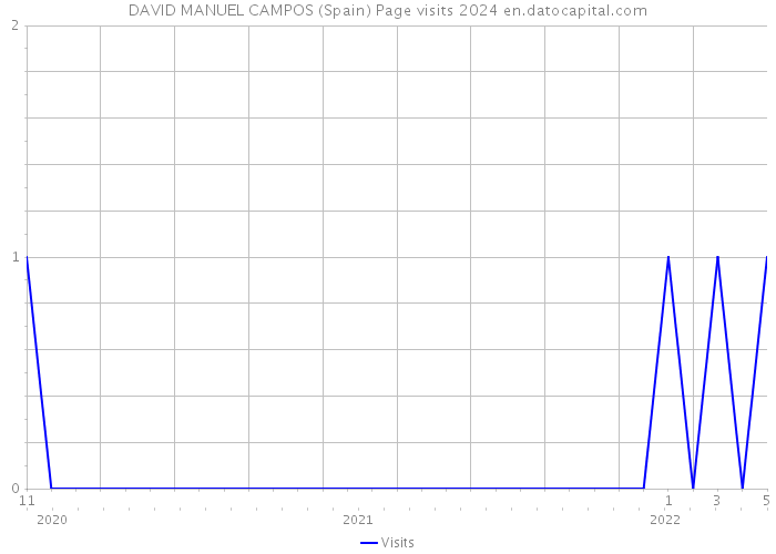 DAVID MANUEL CAMPOS (Spain) Page visits 2024 
