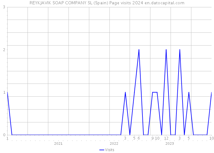 REYKJAVIK SOAP COMPANY SL (Spain) Page visits 2024 