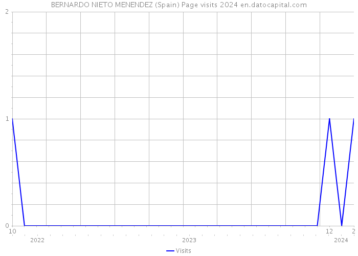 BERNARDO NIETO MENENDEZ (Spain) Page visits 2024 