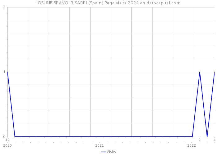 IOSUNE BRAVO IRISARRI (Spain) Page visits 2024 