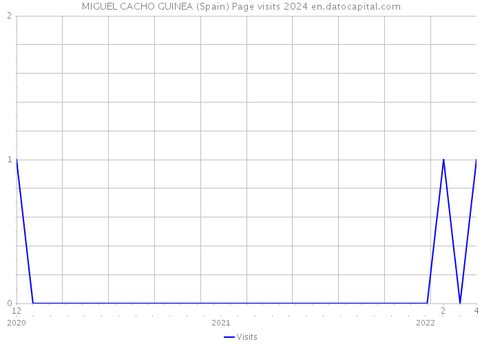 MIGUEL CACHO GUINEA (Spain) Page visits 2024 