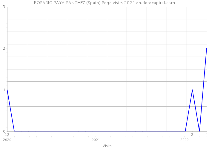 ROSARIO PAYA SANCHEZ (Spain) Page visits 2024 