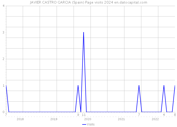 JAVIER CASTRO GARCIA (Spain) Page visits 2024 