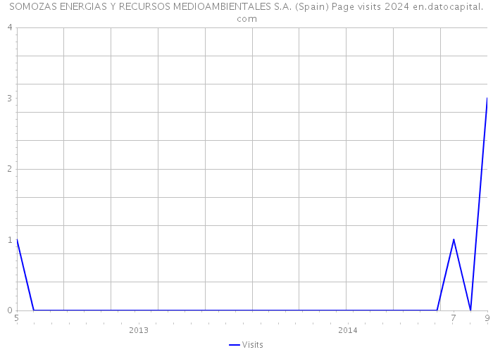 SOMOZAS ENERGIAS Y RECURSOS MEDIOAMBIENTALES S.A. (Spain) Page visits 2024 