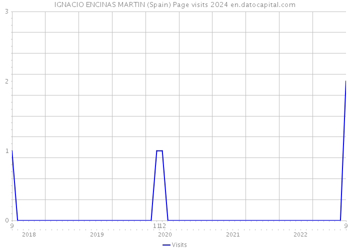 IGNACIO ENCINAS MARTIN (Spain) Page visits 2024 