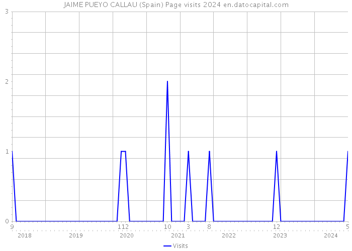 JAIME PUEYO CALLAU (Spain) Page visits 2024 