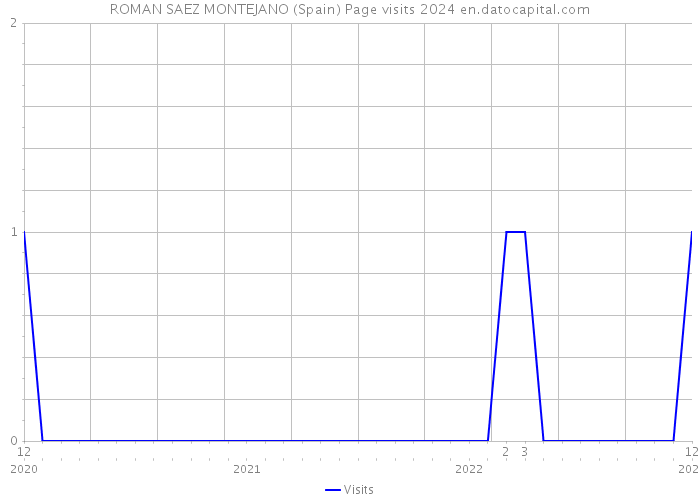 ROMAN SAEZ MONTEJANO (Spain) Page visits 2024 