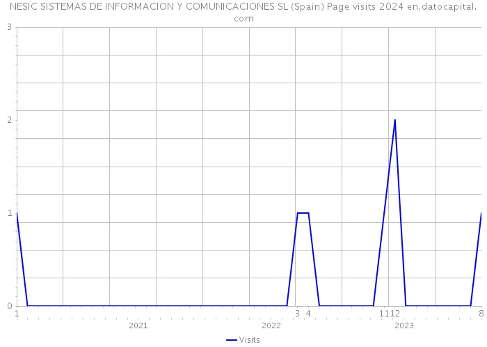 NESIC SISTEMAS DE INFORMACION Y COMUNICACIONES SL (Spain) Page visits 2024 