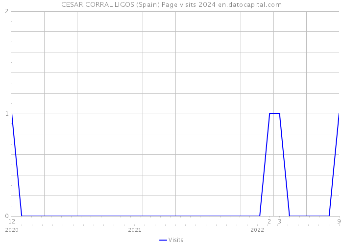 CESAR CORRAL LIGOS (Spain) Page visits 2024 