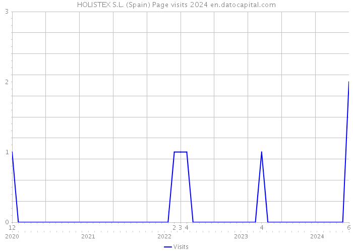 HOLISTEX S.L. (Spain) Page visits 2024 