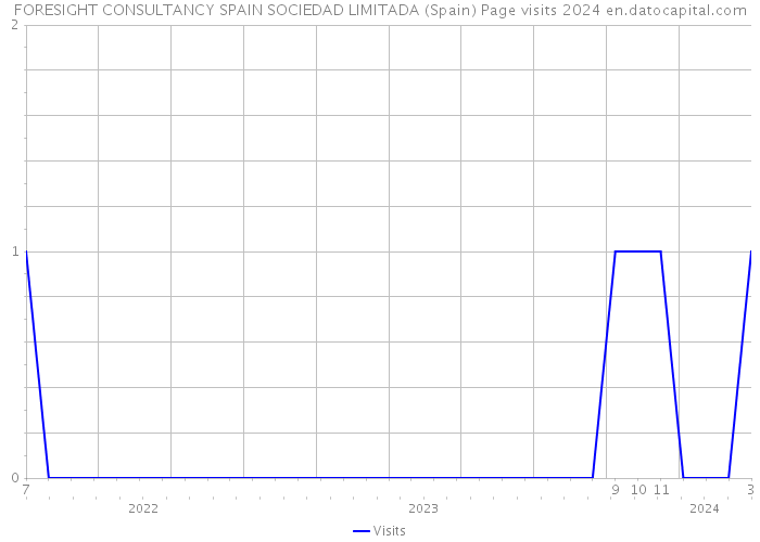 FORESIGHT CONSULTANCY SPAIN SOCIEDAD LIMITADA (Spain) Page visits 2024 