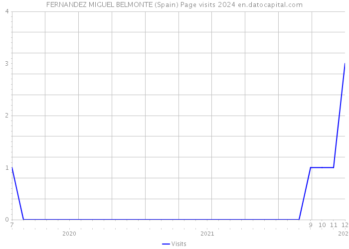 FERNANDEZ MIGUEL BELMONTE (Spain) Page visits 2024 