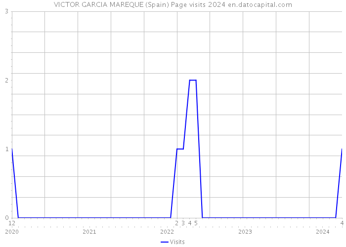 VICTOR GARCIA MAREQUE (Spain) Page visits 2024 