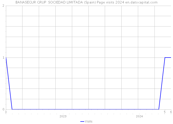 BANASEGUR GRUP SOCIEDAD LIMITADA (Spain) Page visits 2024 