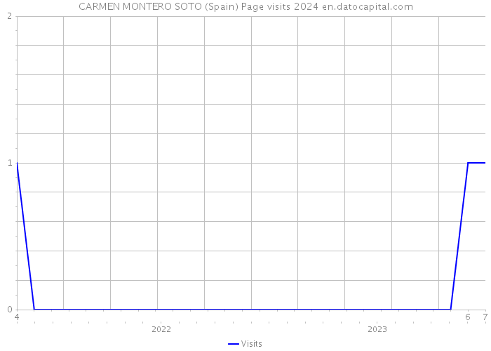 CARMEN MONTERO SOTO (Spain) Page visits 2024 