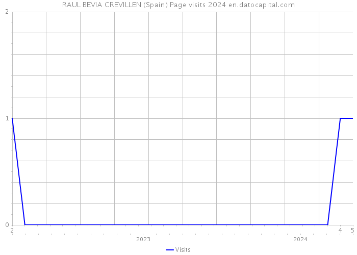 RAUL BEVIA CREVILLEN (Spain) Page visits 2024 