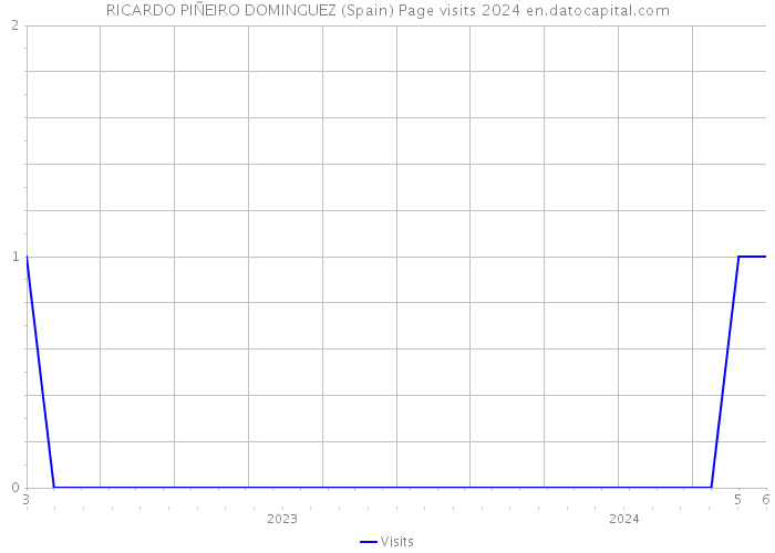 RICARDO PIÑEIRO DOMINGUEZ (Spain) Page visits 2024 