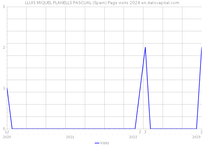 LLUIS MIQUEL PLANELLS PASCUAL (Spain) Page visits 2024 