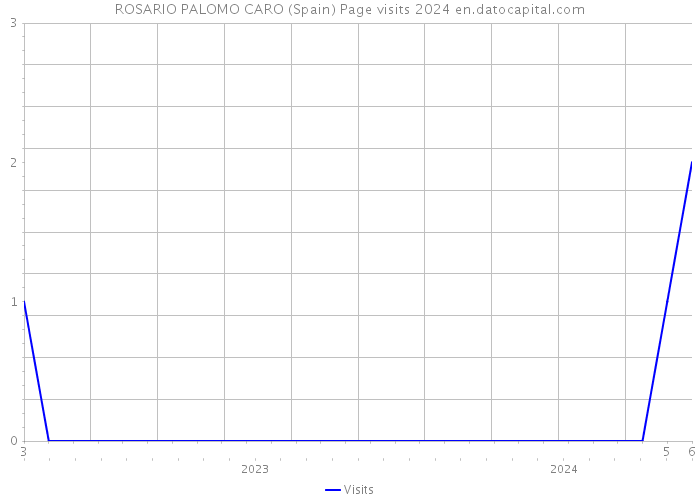 ROSARIO PALOMO CARO (Spain) Page visits 2024 