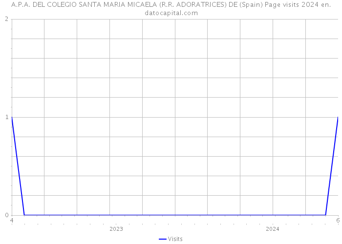 A.P.A. DEL COLEGIO SANTA MARIA MICAELA (R.R. ADORATRICES) DE (Spain) Page visits 2024 