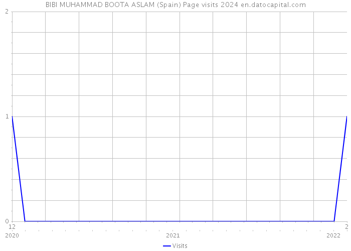 BIBI MUHAMMAD BOOTA ASLAM (Spain) Page visits 2024 