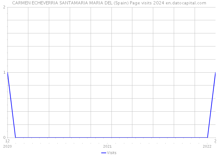 CARMEN ECHEVERRIA SANTAMARIA MARIA DEL (Spain) Page visits 2024 