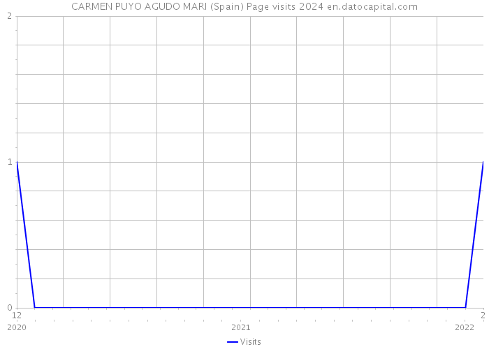CARMEN PUYO AGUDO MARI (Spain) Page visits 2024 