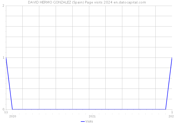 DAVID HERMO GONZALEZ (Spain) Page visits 2024 