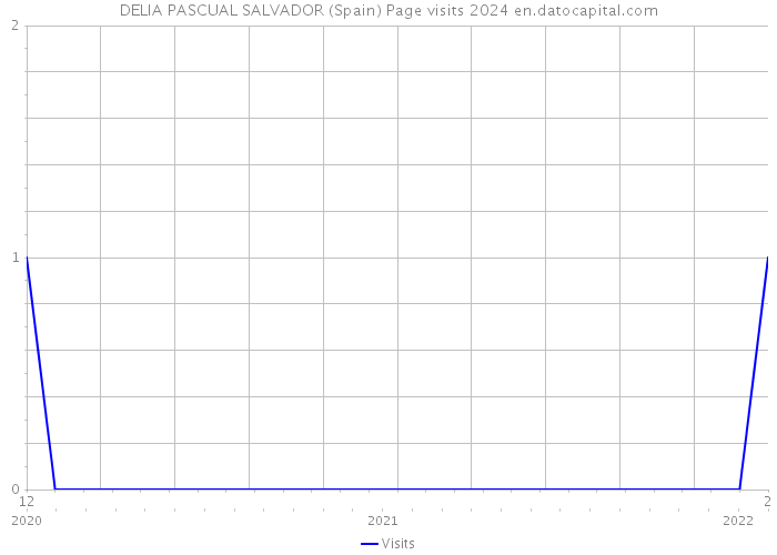 DELIA PASCUAL SALVADOR (Spain) Page visits 2024 