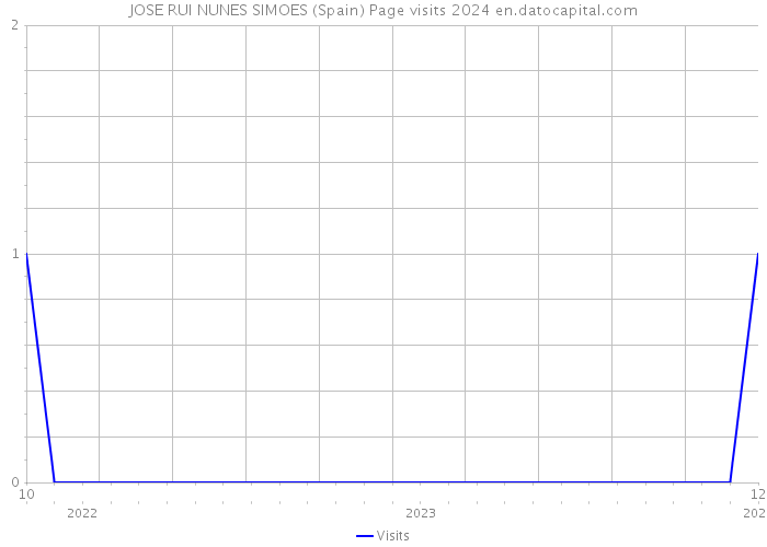 JOSE RUI NUNES SIMOES (Spain) Page visits 2024 
